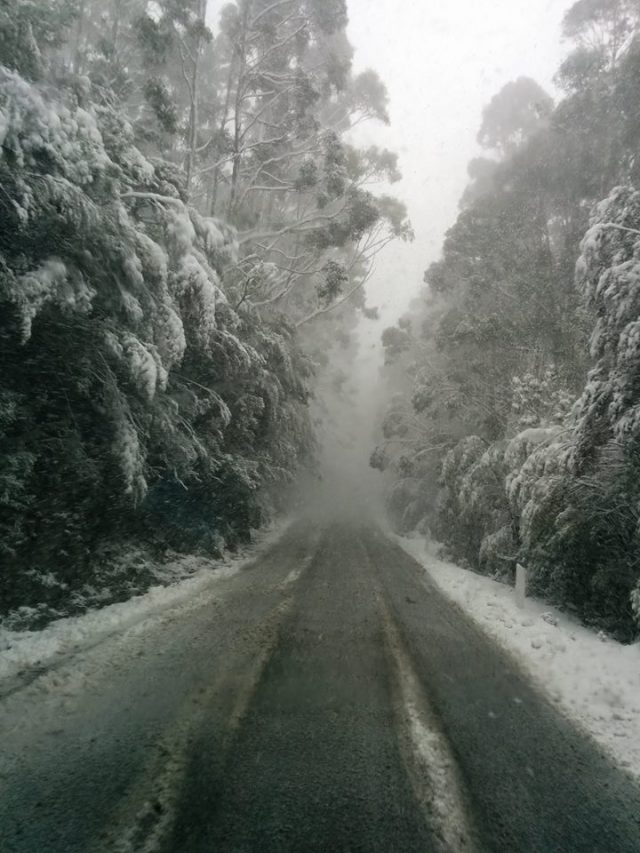Explore Tasmania in Winter by Campervan