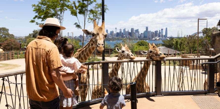 Taronga Zoo, New South Wales Wild Encounters Await!