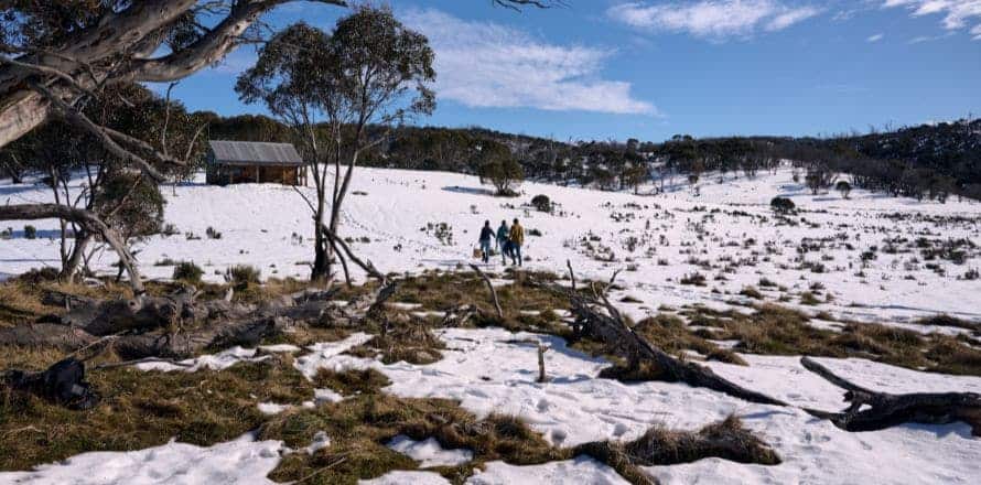 The Snowy Mountains Alpine Adventures All Year Round