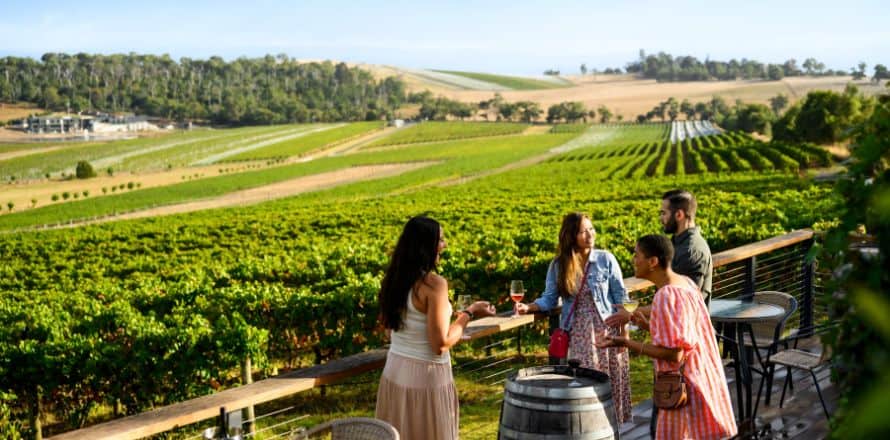 Yarra Valley Wine Country on a Budget