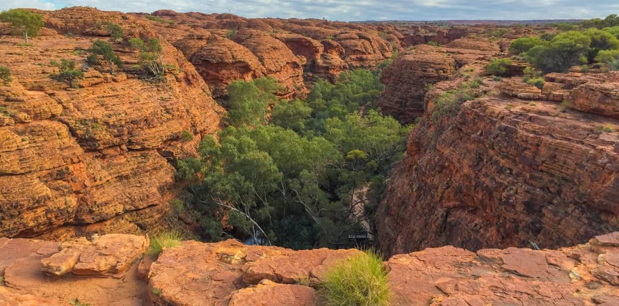 Kings Canyon Rim Walk (NT)