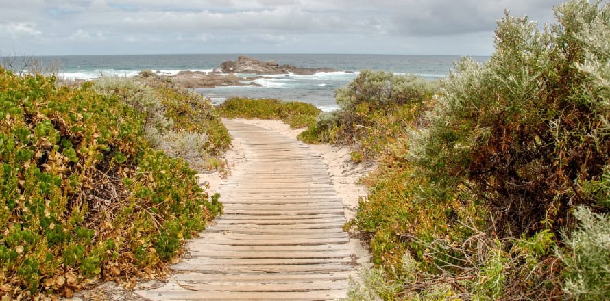 Cape to Cape Track (WA – Short Sections)