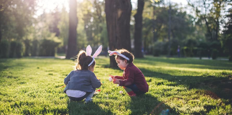 Farms & Petting Zoos – Easter Egg Hunts with Cute Animals