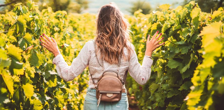 Vineyards with Easter Fun for the Whole Family