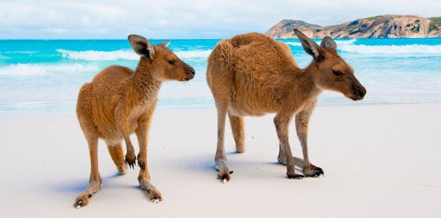 Tips for Exploring Esperance