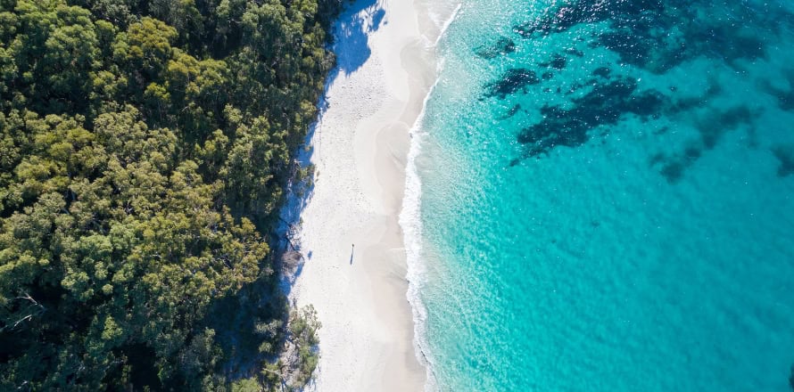 NSW