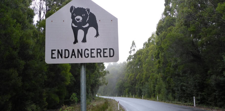 Tarkine Drive