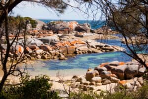 5 Budget-Friendly Places to Visit in Tasmania by Campervan