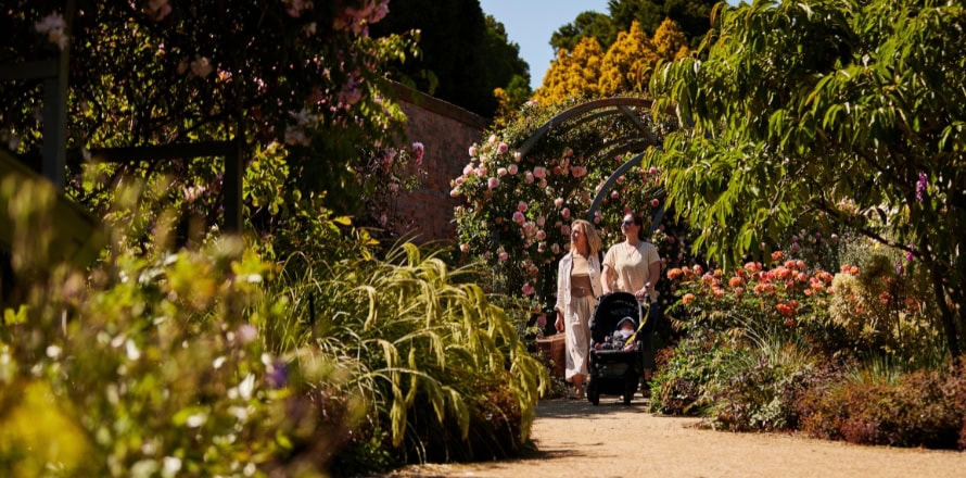 Botanical Gardens