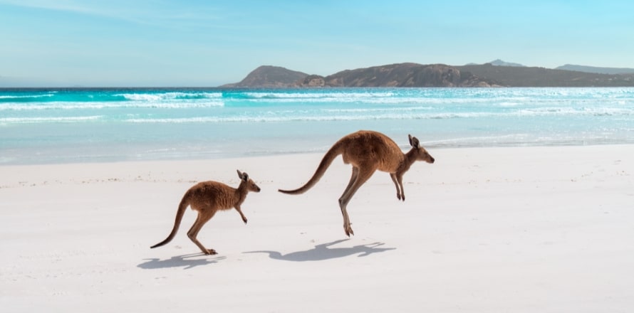 Lucky Bay