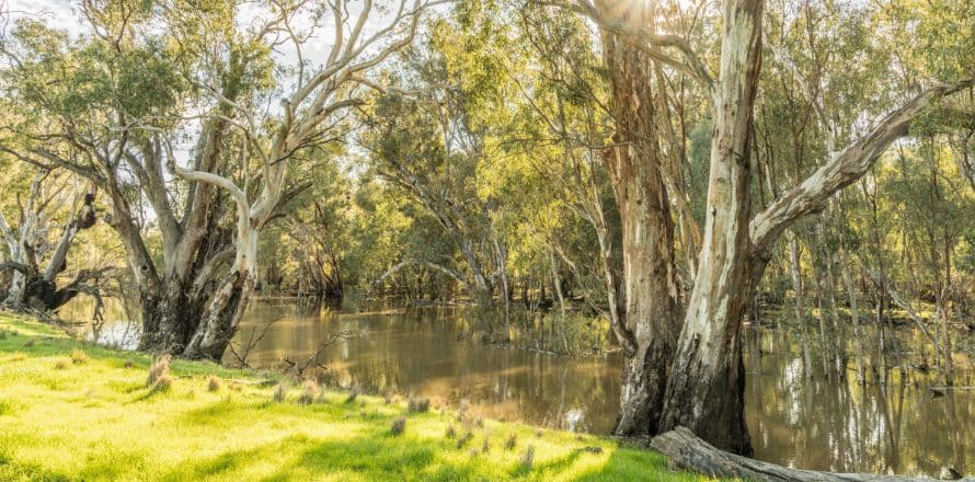 Murrumbidgee River