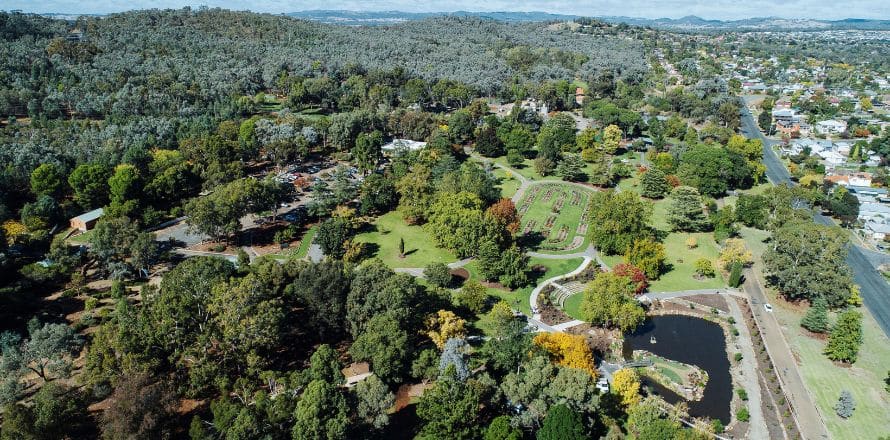 Wagga Wagga
