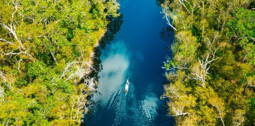 Noosa Everglades