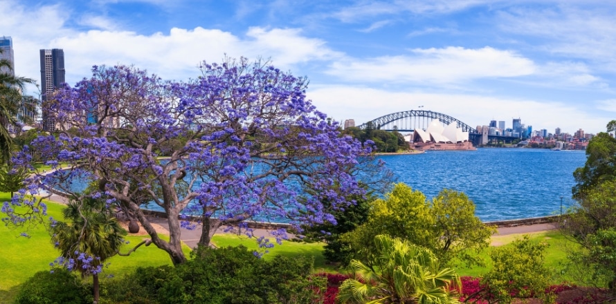 Royal Botanic Garden