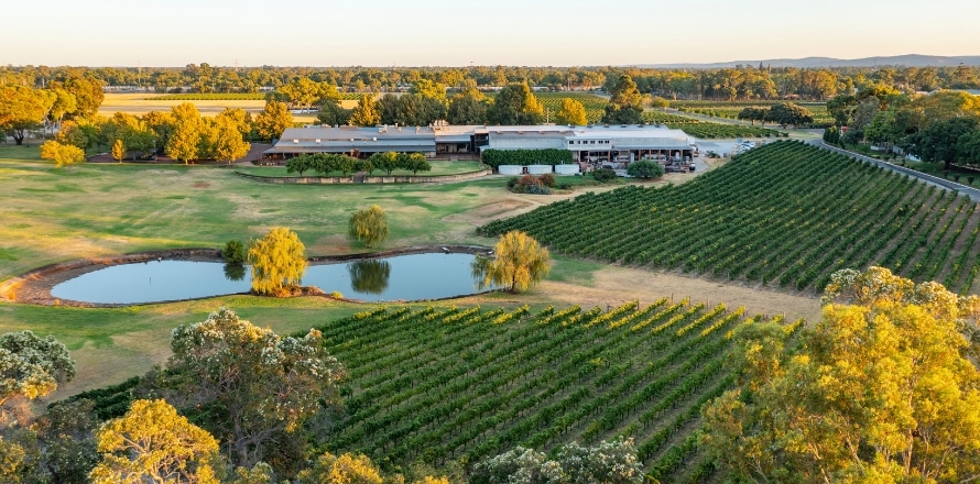 Swan Valley