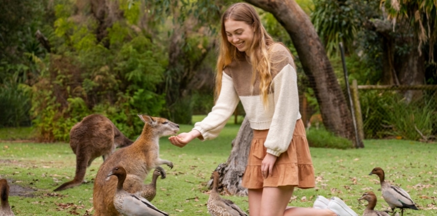 Caversham Wildlife Park