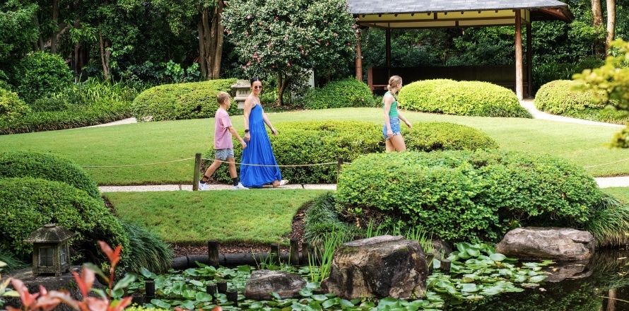 Brisbane Botanic Gardens