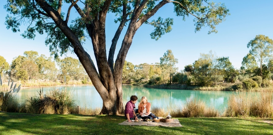 Couple having a relaxing picnic at Barossa Valley