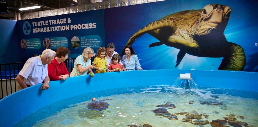 Cairns Aquarium