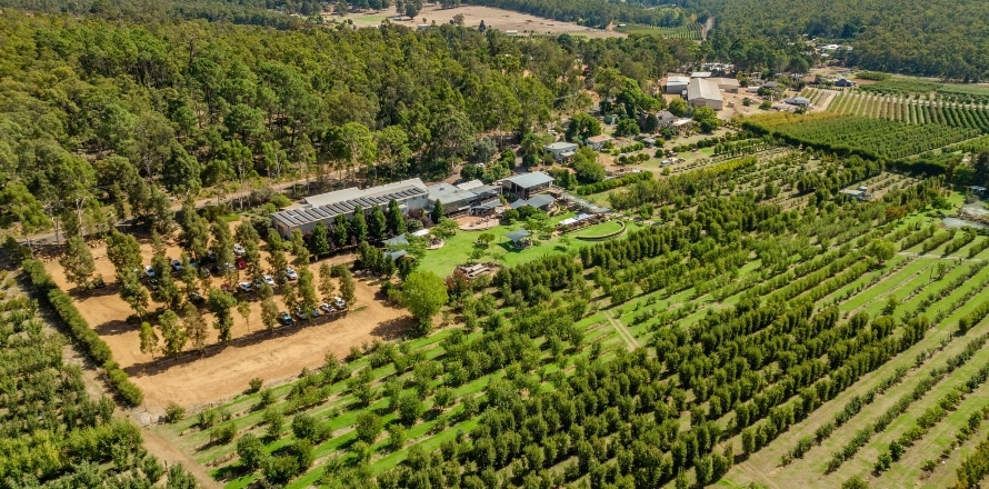 Swan Valley
